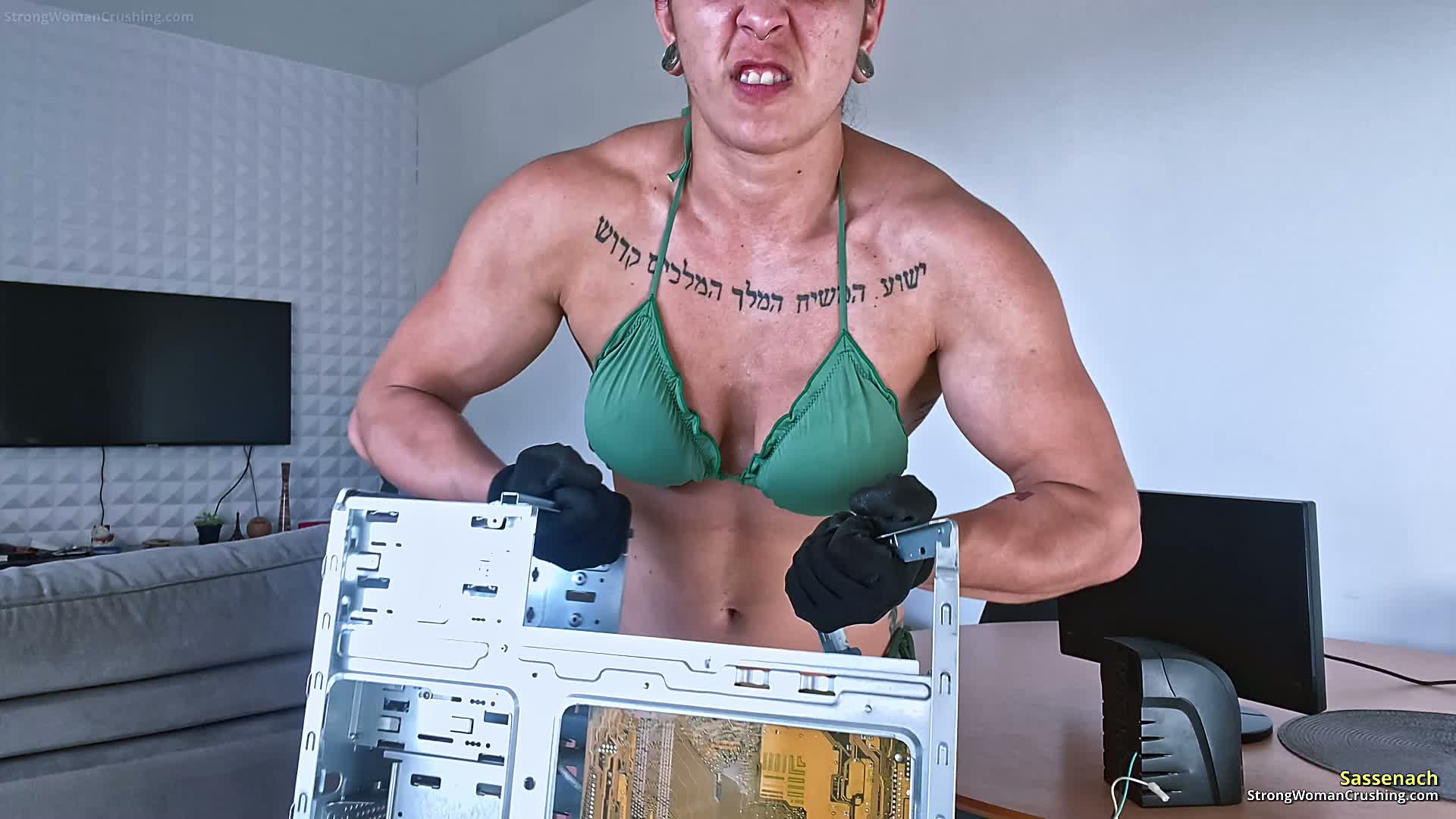 Sassenach rages against computer cpu